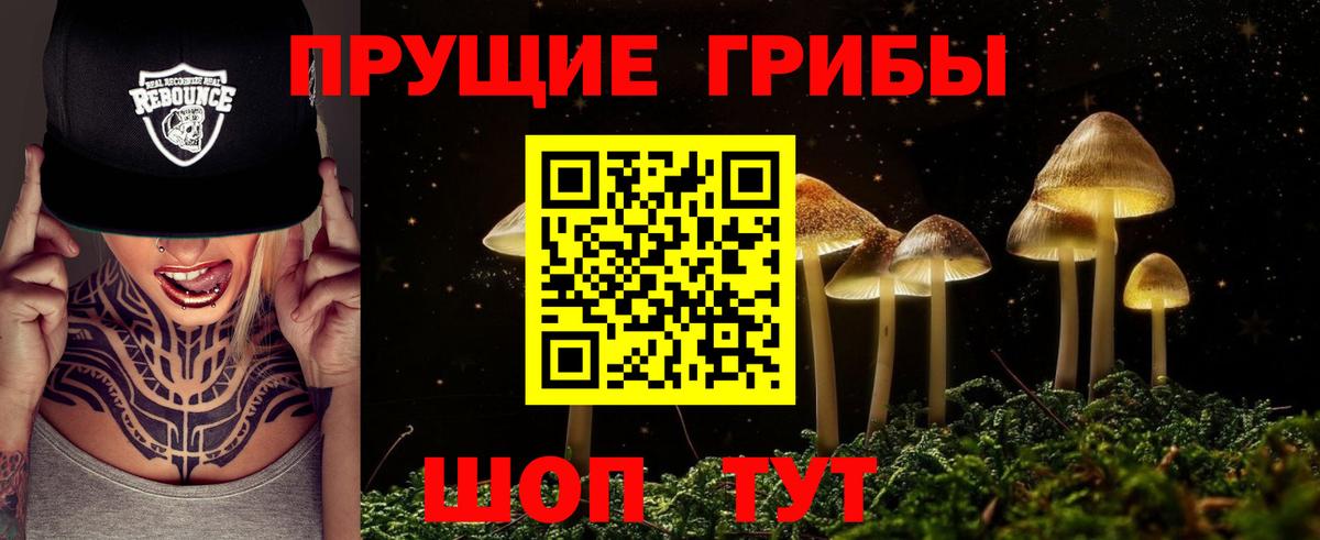 Бор  Псилоцибиновые грибы ЛСД  Вход с VPN 